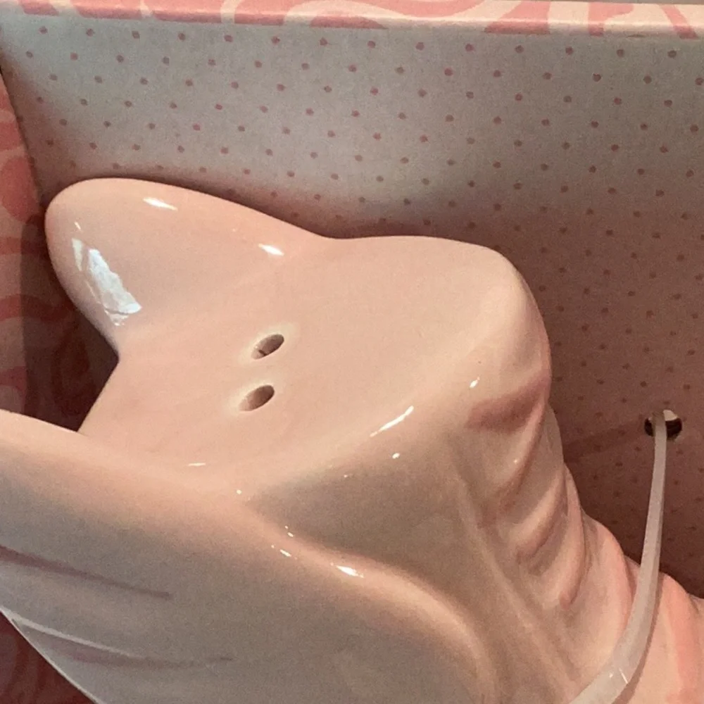 Pink Skates Salt and Pepper set